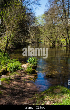Une randonnée à Altensteig, dans le nord de la forêt noire, au début du printemps le long de la rivière Nagold Banque D'Images