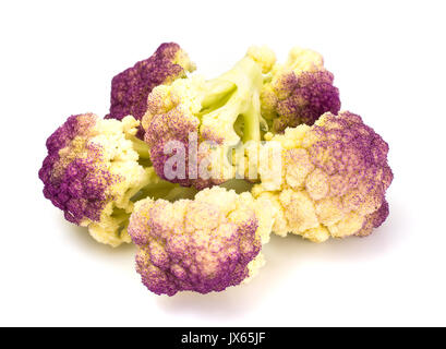 Le chou-fleur pourpre italien. Studio Photo Banque D'Images