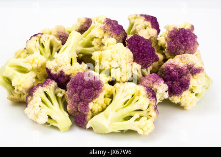 Le chou-fleur pourpre italien. Studio Photo Banque D'Images