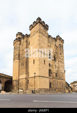 Le Château de Newcastle Castle à Newcastle-upon-Tyne, Angleterre. Le château de Keep est une fortification médiévale et date du XIIe siècle. Banque D'Images