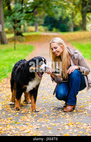 Femme et chien à récupérer jeu du bâton Banque D'Images