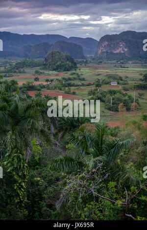 Paysage de Viñales Banque D'Images