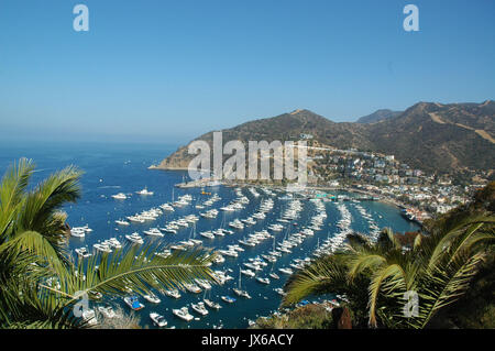 Catalina Island Bay à Avalon, CA Banque D'Images