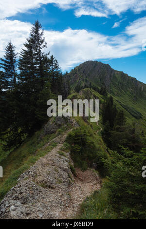 Randonnées sur le Nagelfluhkette dans les Alpes allemandes sur un dimanche après-midi Banque D'Images