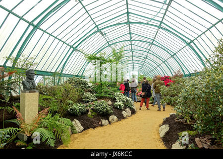 Vue de l'intérieur des Serres Royales de Laeken Château Royal de Laeken Bruxelles, Belgique DSC07262 Banque D'Images