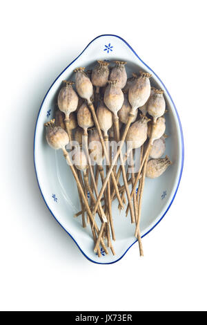 Têtes de pavot séchées isolé sur fond blanc. Le pavot bleu. Banque D'Images