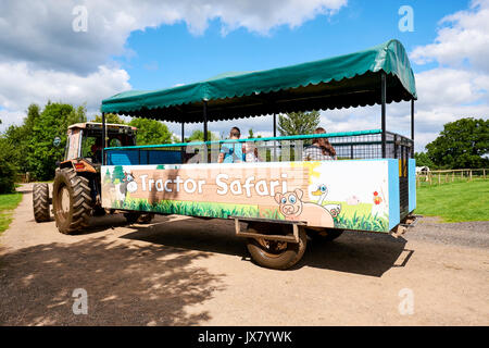 Tracteur à Hatton Safari Adventure World, Hatton, Warwickshire, UK Banque D'Images