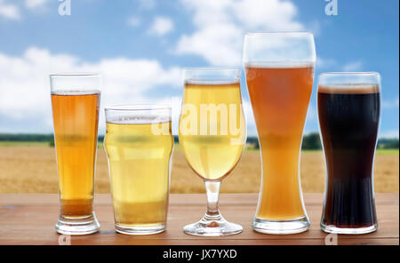 Différents types de verres de bière sur le champ de céréales Banque D'Images