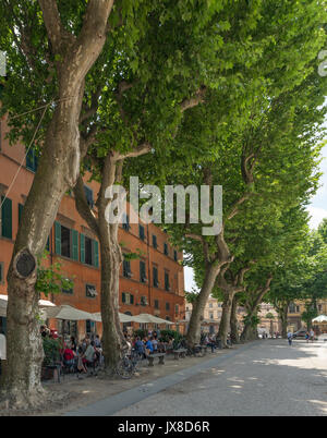 Les gens de vous détendre à l'ombre des platanes sur la Piazza Napoleone d'une petite ville italienne Lucca en Italie Banque D'Images