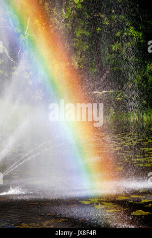 Arc-en-ciel de couleurs sur l'étang vue rapprochée Banque D'Images