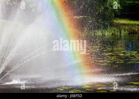 Arc-en-ciel de couleurs sur l'étang vue rapprochée Banque D'Images