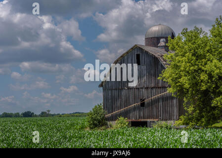 Ancienne grange en bois rustique et d'un champ le long de la route en Illinois Banque D'Images