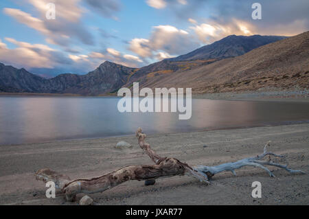 Driftwood le long de la rive du grand lac et l'approche de nuages orageux sur les montagnes de la sierra nevada à boucle lac juin juin, lake, California, USA. Banque D'Images