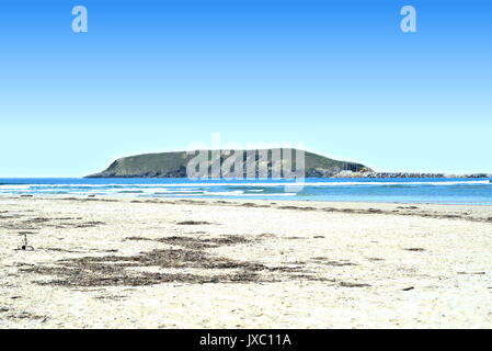 Paysage australien de plage en Nouvelle Galles du Sud. En ce qui concerne l'horizon est une île et un brise-lames et ciel bleu océan bleu réunion Banque D'Images