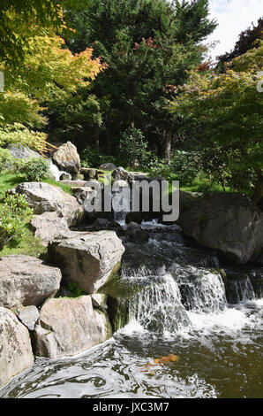 Cascade, jardin de Kyoto, jardin de style japonais, Holland Park, Kensington , Londres.UK Banque D'Images