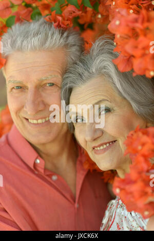 Happy senior couple Banque D'Images