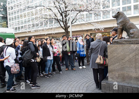 Statue de Hachiko Shibuya, Shibuya, Tokyo, Japon - 31 mars 2016 : les touristes posant devant la Statue de Hachiko Shibuya à Shibuya, Tokyo, Japon. Banque D'Images