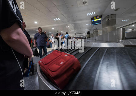 Les passagers en attente d'assurance d'arriver à la ceinture dans la salle de récupération des bagages à l'aéroport de Tenerife Sud, îles Canaries, Espagne Banque D'Images