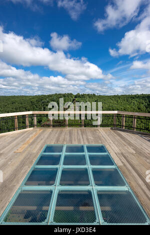 SKYWALK KINZUA BRIDGE STATE PARK MOUNT JEWETT MCKEAN COUNTY Florida USA Banque D'Images