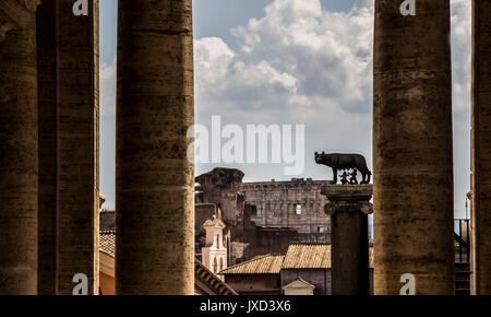 Sculpture de la louve Romulus et Remus l'alimentation des jumeaux fondateurs de Rome situé entre les colonnes, Italie Banque D'Images