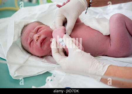 Bébé nouveau-né est détaillé examiné immédiatement après l'accouchement Banque D'Images