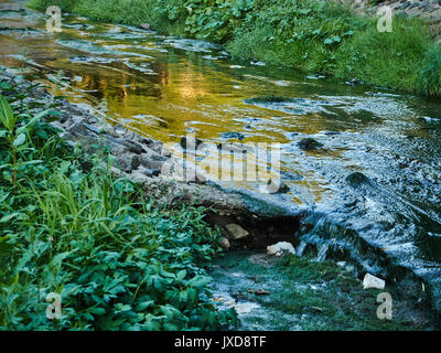 La rivière est polluée par des algues bleues et des gobelets en plastique. Le centre de la ville. Biélorussie. Banque D'Images