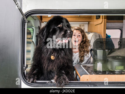 Une jolie jeune femme en vacances dans un camping-car sur un emplacement de camping, souriant joyeusement, avec son chien Terre-neuve libre près de la fenêtre. Angleterre, Royaume-Uni. Banque D'Images