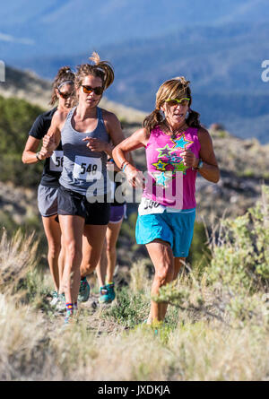 Les glissières de la concurrence dans l'Fibark sentier Festival ; run ; Salida Colorado ; USA Banque D'Images