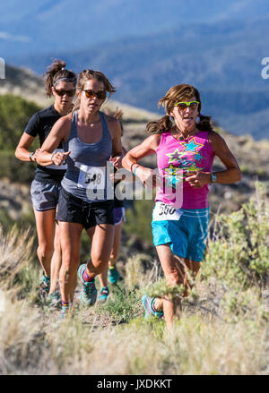 Les glissières de la concurrence dans l'Fibark sentier Festival ; run ; Salida Colorado ; USA Banque D'Images