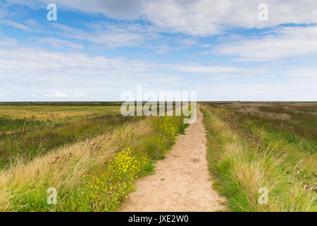 Blakeney Freshes, qui est un marais d'eau douce à côté du saltmarsh à Blakeney Norfolk Banque D'Images