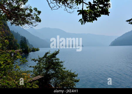 Olympic National Park dispose de trois écosystèmes distincts qui sont des forêts sub-alpin et de fleurs sauvages pré, forêt tempérée, et robuste du littoral du Pacifique. Banque D'Images