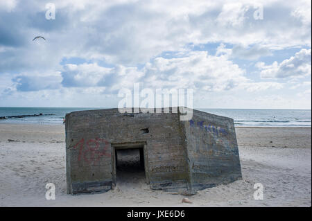 Chevaux sur la plage de soute Blavand, Danemark Banque D'Images