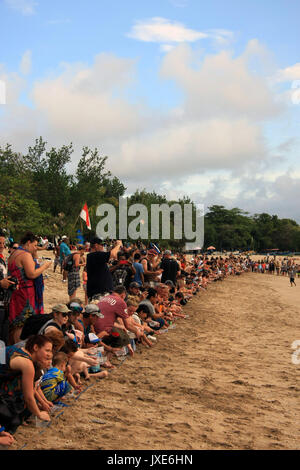 Indonésie/Bali - Septembre 23, 2017 : Nouveau-né les tortues de mer publié dans à la mer par les touristes à Bali, Indonésie Banque D'Images