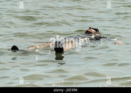 West Bay, Dorset, UK. 15 août, 2017. Météo France : les habitants et les vacanciers profitez d'une chaude après-midi ensoleillée à bronzer et nager à la station balnéaire de West Bay. Crédit Photo : Guy Josse/Alamy Live News Banque D'Images