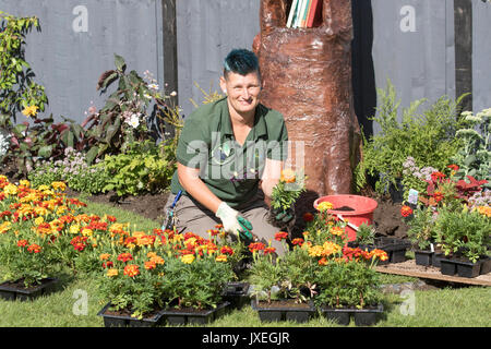 Southport, Merseyside, Royaume-Uni. Août 16, 2017. Pauline Gillet de Sefton Nouvelles orientations sur la dernière journée de préparatifs de Flower Show comme exposants, jardin des concepteurs et d'artistes floraux ajouter la touche finale à l'ensemble des expositions d'épater le visiteurs à ce célèbre événement annuel. /AlamyLiveNews MediaWorldImages crédit ; Banque D'Images