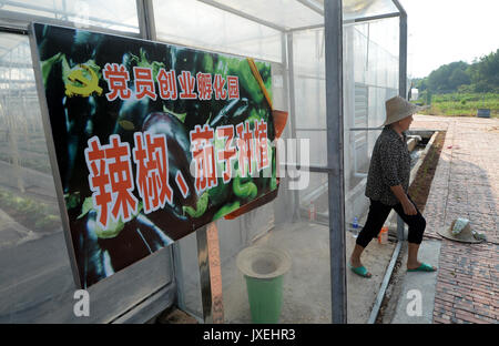 (170816) -- GANZHOU, 16 août 2017 (Xinhua) -- un villageois sort de serre en Gufang Wenwuba dans village canton de Huichang Comté, Ganzhou City, province de Jiangxi, Chine orientale, le 28 juillet 2017. Depuis 2016, le gouvernement local dans Gufang village prendre des mesures ciblées dans la pauvreté. Les infrastructures, comme les routes, les maisons et l'énergie solaire, lampes, ont été construits et de nouvelles industries ont été introduits dans le village, qui a changé le village de façon spectaculaire. Les étangs à poissons, des serres ainsi que les vergers ont stimulé l'économie agricole locale. Amélioration de l'environnement dans le village aussi attr Banque D'Images