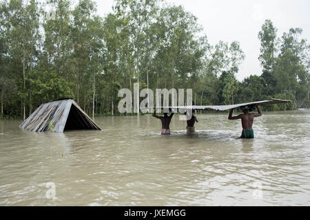 Bogra, Bangladesh. Août 16, 2017. Les gens portent chambre pièces cassées parce que chaque endroit plein d'eau dans la zone Manikdi à Bogra. La souffrance des peuples continue comme beaucoup d'entre eux ont quitté leurs foyers avec leur bétail, chèvres, poules et autres animaux de compagnie et ont trouvé refuge dans des zones sûres et bon nombre de ces personnes n'ont pas encore été en mesure de retourner à mesure que l'eau n'a pas entièrement disparu de leurs foyers. Incidents liés aux crues dans Dinajpur, Gaibandha Lalmonirhat et augmenter le nombre de morts à 30 dans les trois derniers jours à travers le pays. Credit : K M Asad/ZUMA/Alamy Fil Live News Banque D'Images