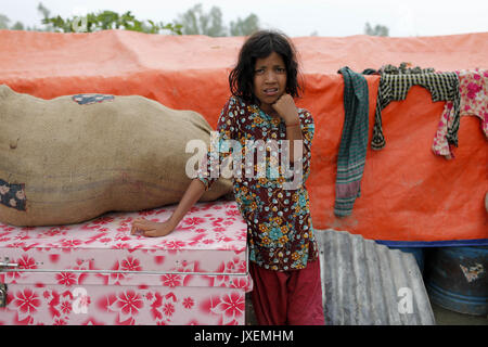 Bogra, Bangladesh. Août 16, 2017. Fille du Bangladesh pour venir prendre un abri temporaire pour les inondations en zone Kajla à Bogra. La souffrance des peuples continue comme beaucoup d'entre eux ont quitté leurs foyers avec leur bétail, chèvres, poules et autres animaux de compagnie et ont trouvé refuge dans des zones sûres et bon nombre de ces personnes n'ont pas encore été en mesure de retourner à mesure que l'eau n'a pas entièrement disparu de leurs foyers. Incidents liés aux crues dans Dinajpur, Gaibandha Lalmonirhat et augmenter le nombre de morts à 30 dans les trois derniers jours à travers le pays. Credit : K M Asad/ZUMA/Alamy Fil Live News Banque D'Images