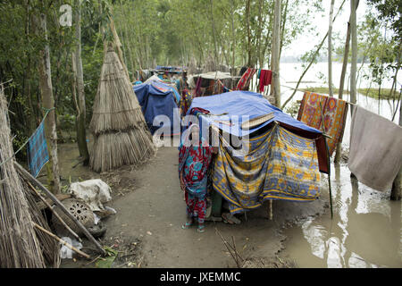 Bogra, Bangladesh. Août 16, 2017. Femme de la vieillesse s'abriter dans un lieu ouvert d'inondation dans la zone Kajla à Bogra. La souffrance des peuples continue comme beaucoup d'entre eux ont quitté leurs foyers avec leur bétail, chèvres, poules et autres animaux de compagnie et ont trouvé refuge dans des zones sûres et bon nombre de ces personnes n'ont pas encore été en mesure de retourner à mesure que l'eau n'a pas entièrement disparu de leurs foyers. Incidents liés aux crues dans Dinajpur, Gaibandha Lalmonirhat et augmenter le nombre de morts à 30 dans les trois derniers jours à travers le pays. Credit : K M Asad/ZUMA/Alamy Fil Live News Banque D'Images