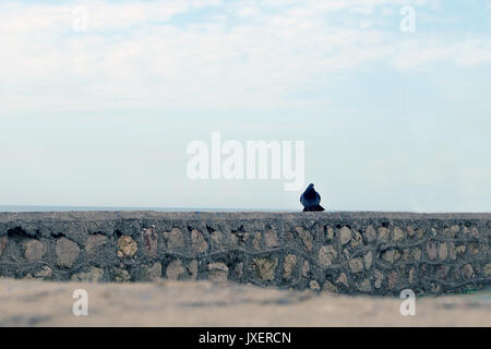 Un oiseau sur une clôture en pierre, au-delà de laquelle la mer et le ciel. Le concept de la solitude Banque D'Images