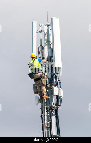 Travailler sur un mât de télécommunication téléphone portable. Banque D'Images