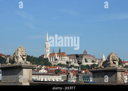 Statue de lion et le pont des chaînes de Budapest bastion des pêcheurs Banque D'Images