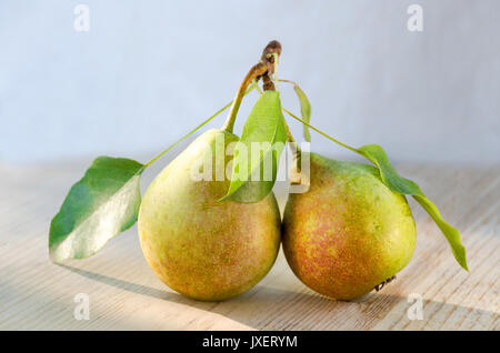 Deux poires sur une même tige avec des feuilles. Avec des gouttes d'eau, éclairé par le soleil sur un fond de bois. Fruits couplé Banque D'Images