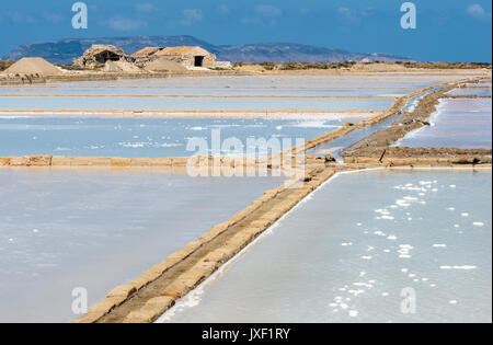 Sel avec du sel produit par évaporation de l'eau de mer Culcasi, au sud de Trapani, sur la côte ouest de la Sicile, en Italie. Banque D'Images