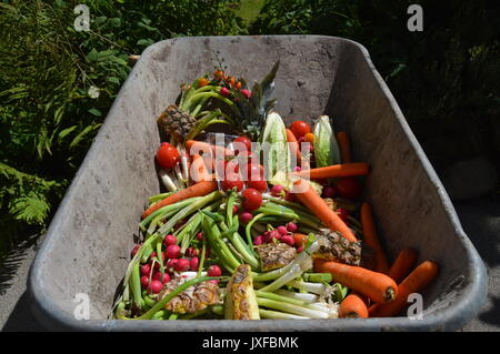 Fruits et légumes pourris pour le compost Banque D'Images