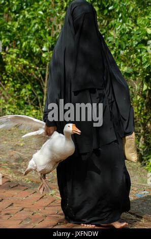 Le BANGLADESH, noir femme musulmane voilée en tchador white goose / BANGLADESCH , schwarz verschleierte Muslima mit weisser Gans Banque D'Images