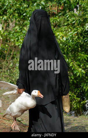 Le BANGLADESH, noir femme musulmane voilée en tchador white goose / BANGLADESCH , schwarz verschleierte Muslima mit weisser Gans Banque D'Images