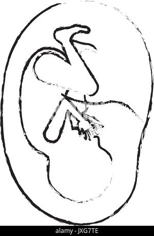 Silhouette floue monochrome vue du côté de la croissance du fœtus placenta en neuvième mois Illustration de Vecteur