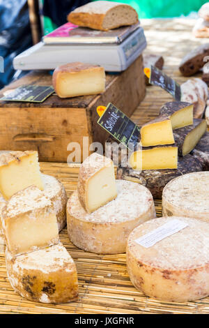 Table rustique de fromages français à un marché à Arles, Provence, France Banque D'Images