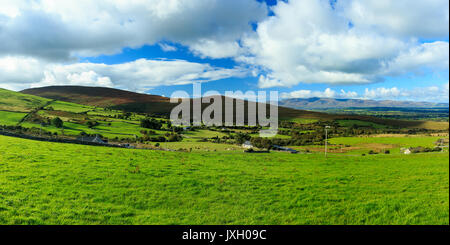 Champs verts sur les contreforts des MacGillycuddy Reeks, dans le comté de Kerry, Irlande montrant les montagnes Slieve Mish sur l'horizon Banque D'Images